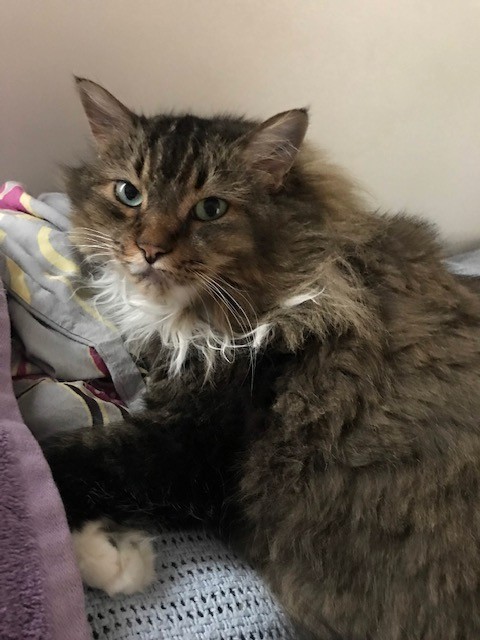 Bootsie.jpg